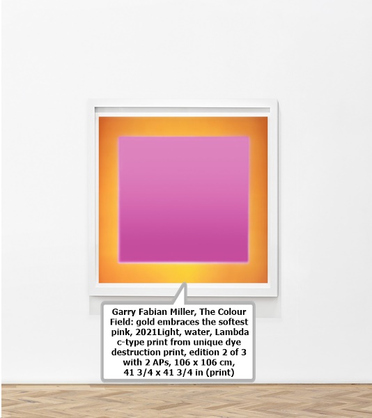 click to enlarge- double click to reduce Garry Fabian Miller, The Colour Field: gold embraces the softest pink, 2021Light, water, Lambda c-type print from unique dye destruction print, edition 2 of 3 with 2 APs, 106 x 106 cm, 41 3/4 x 41 3/4 in (print)