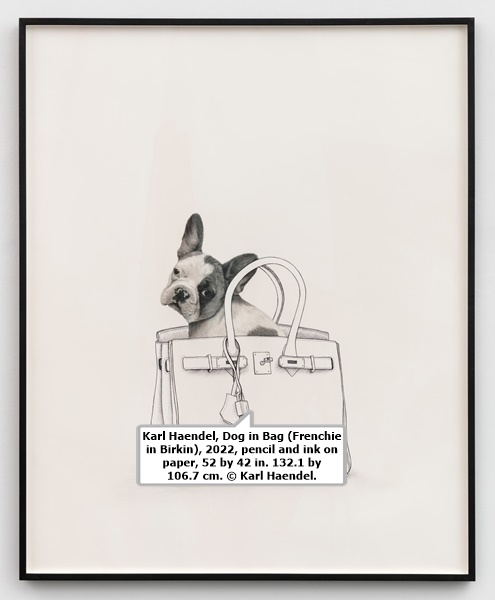 click to enlarge- double click to reduce Karl Haendel, Dog in Bag (Frenchie in Birkin), 2022, pencil and ink on paper, 52 by 42 in. 132.1 by 106.7 cm. © Karl Haendel.