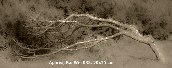 Aparisi, Bai Wei 033, 20x25 cm