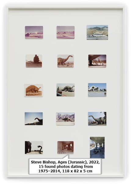click to enlarge- double click to reduce Steve Bishop, Ages (Jurassic), 2022, 15 found photos dating from 1975–2014, 118 x 82 x 5 cm