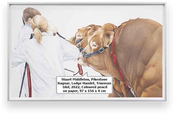 Stuart Middleton, Pikestone Ragnar, Lodge Hamlet, Trueman Idol, 2022, Coloured pencil on paper, 97 x 156 x 4 cm