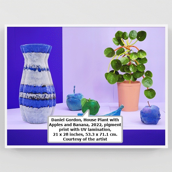 click to enlarge- double click to reduce Daniel Gordon, House Plant with Apples and Banana, 2022, pigment print with UV lamination, 21 x 28 inches, 53.3 x 71.1 cm. Courtesy of the artist