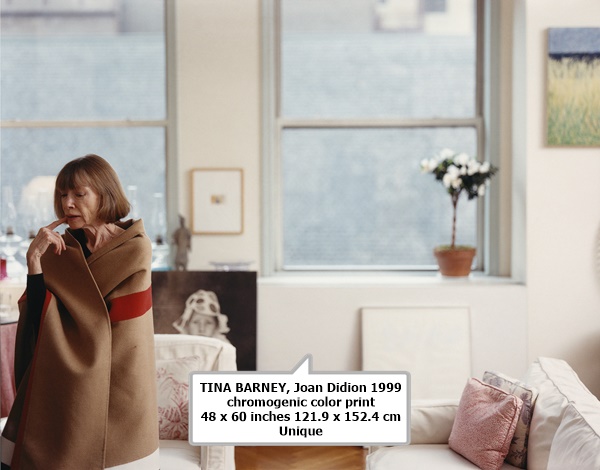 click to enlarge- double click to reduce TINA BARNEY
Joan Didion
1999
chromogenic color print
48 x 60 inches
121.9 x 152.4 cm
Unique
