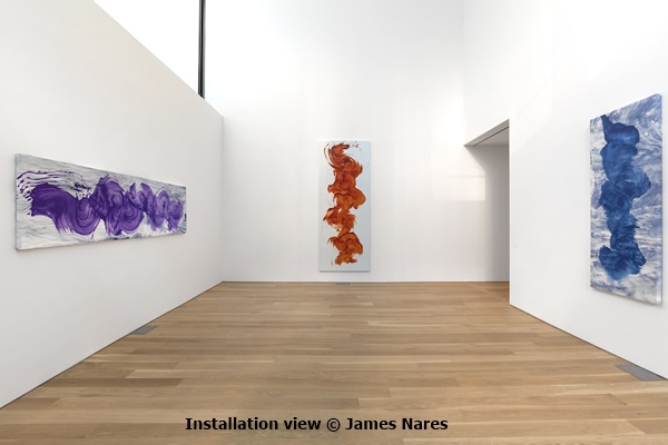 click to enlarge- double click to reduce Installation view © James Nares