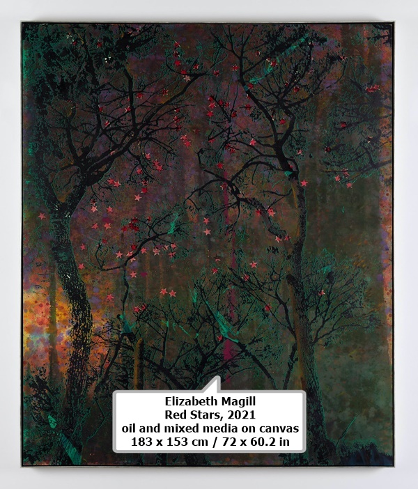 Elizabeth Magill
Red Stars, 2021
oil and mixed media on canvas
183 x 153 cm / 72 x 60.2 in

