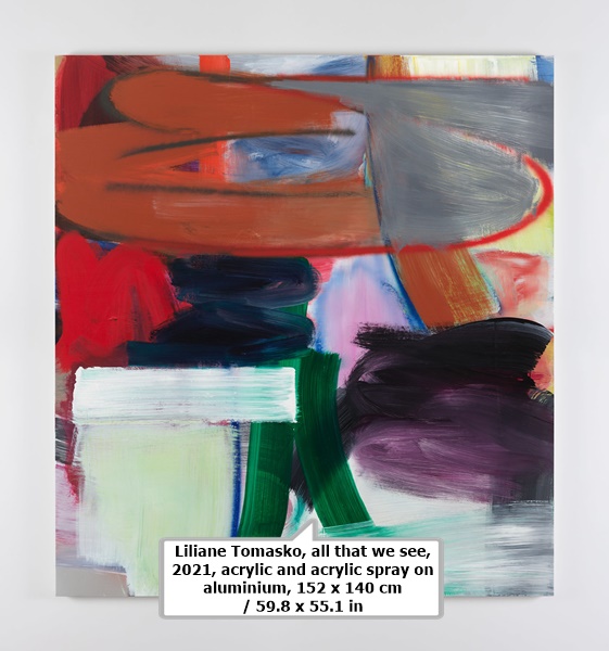 Liliane Tomasko, all that we see, 2021, acrylic and acrylic spray on aluminium, 152 x 140 cm / 59.8 x 55.1 in