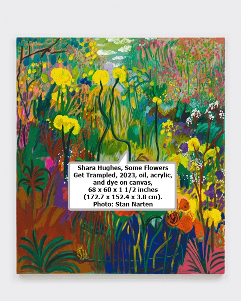 click to enlarge- double click to reduce Shara Hughes, Some Flowers Get Trampled, 2023, oil, acrylic, and dye on canvas, 68 x 60 x 1 1/2 inches (172.7 x 152.4 x 3.8 cm). Photo: Stan Narten