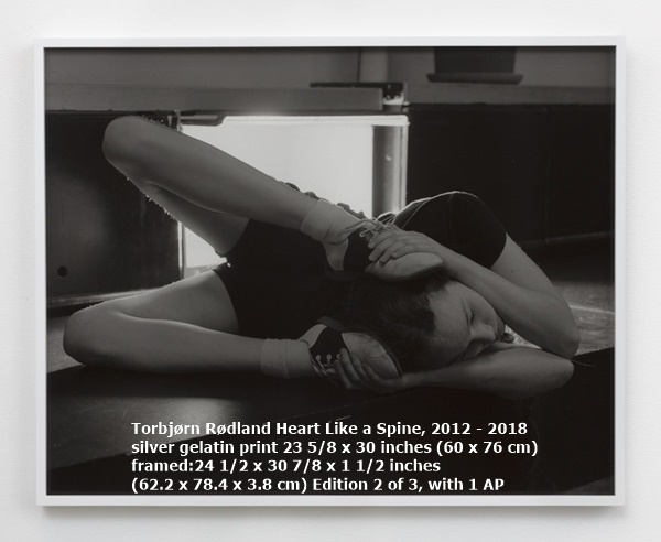 Torbjørn Rødland
Heart Like a Spine, 2012 - 2018
silver gelatin print
23 5/8 x 30 inches
(60 x 76 cm)
framed:
24 1/2 x 30 7/8 x 1 1/2 inches
(62.2 x 78.4 x 3.8 cm)
Edition 2 of 3, with 1 AP