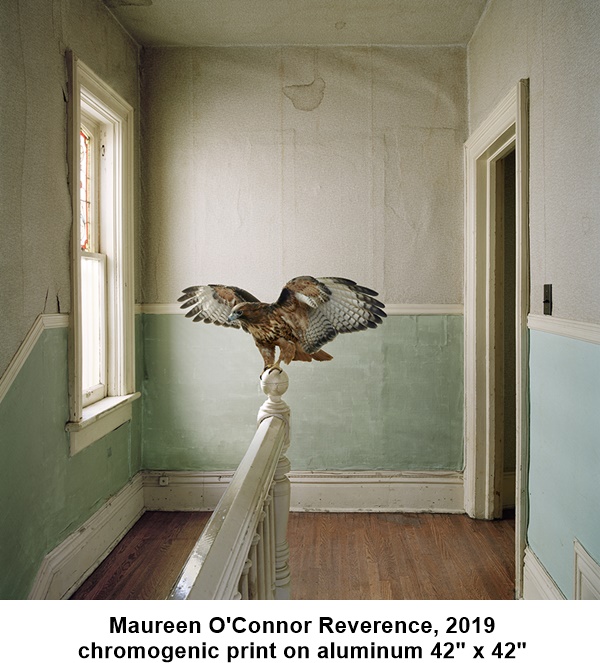 Maureen O'Connor Reverence, 2019
chromogenic print on aluminum 42 x 42 

