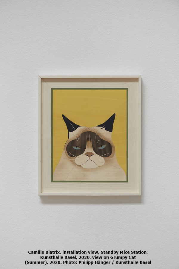 click to enlarge- double click to reduce Camille Blatrix, installation view, Standby Mice Station, Kunsthalle Basel, 2020, view on Grumpy Cat (Summer), 2020. Photo: Philipp Hänger / Kunsthalle Basel