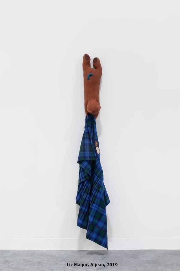 click to enlarge- double click to reduce Liz Magor, Aljean, 2019