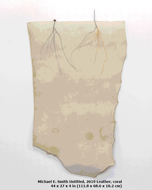 Michael E. Smith
Untitled, 2019
Leather, coral
44 x 27 x 4 in (111.8 x 68.6 x 10.2 cm)
