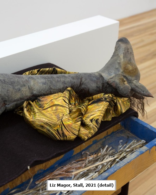 click to enlarge- double click to reduce Liz Magor, Stall, 2021 (detail)