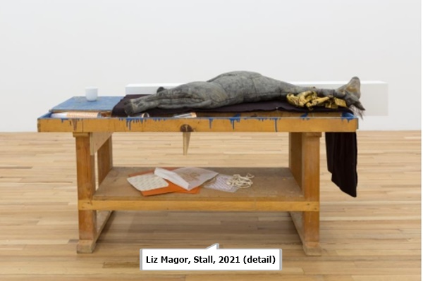 click to enlarge- double click to reduce Liz Magor, Stall, 2021 (detail)