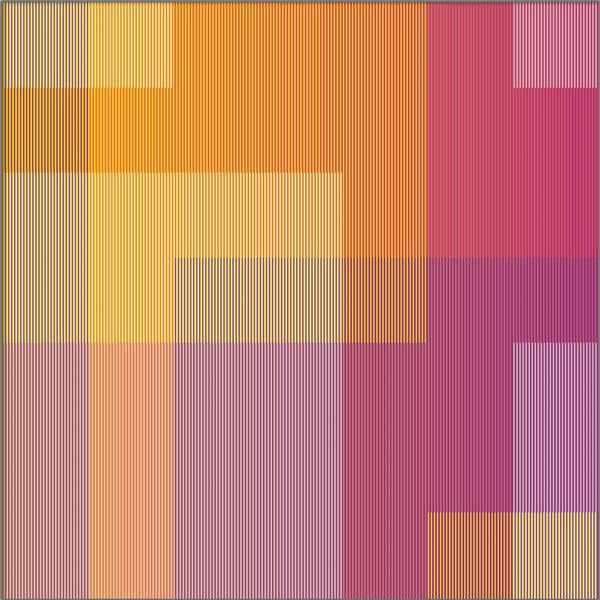 Sandi Renko : L’Ambiguita’ della Percezione