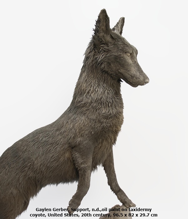 Gaylen Gerber, Support, n.d.,
oil paint on taxidermy coyote, United States, 20th century, 96.5 x 82 x 29.7 cm