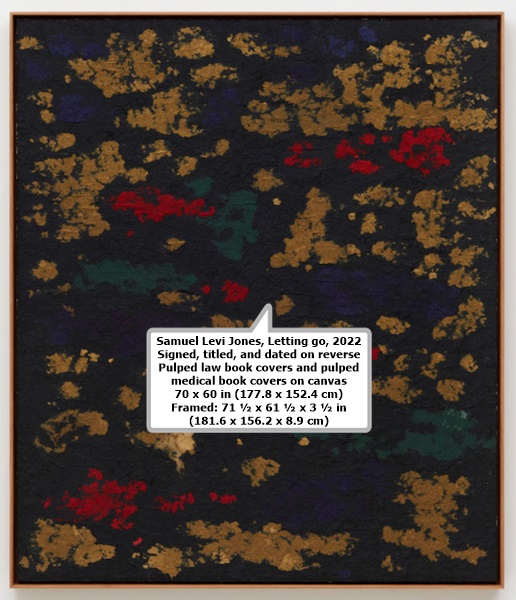 Samuel Levi Jones

Letting go, 2022

Signed, titled, and dated on reverse

Pulped law book covers and pulped medical book covers on canvas

70 x 60 in (177.8 x 152.4 cm)
Framed: 71 ½ x 61 ½ x 3 ½ in (181.6 x 156.2 x 8.9 cm)