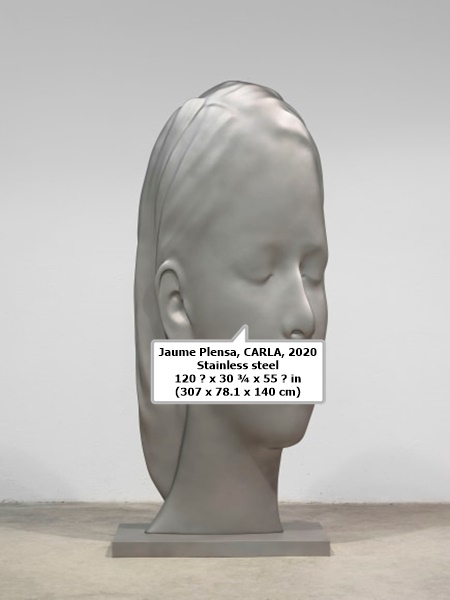 Jaume Plensa

CARLA, 2020

Stainless steel

120 ⅞ x 30 ¾ x 55 ⅛ in (307 x 78.1 x 140 cm)