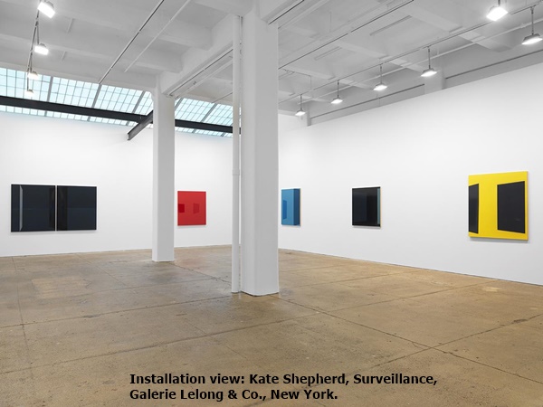 click to enlarge- double click to reduce Installation view: Kate Shepherd, Surveillance, Galerie Lelong & Co., New York.