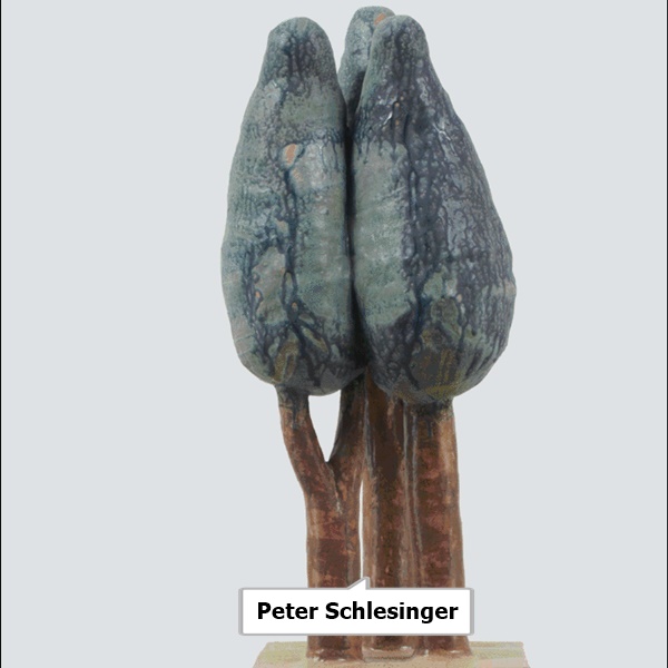 Peter Schlesinger
