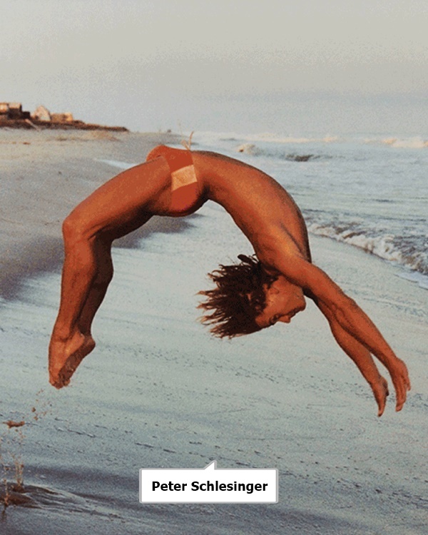click to enlarge- double click to reduce Peter Schlesinger