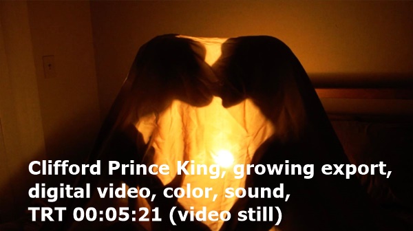 click to enlarge- double click to reduce Clifford Prince King, growing export, digital video, color, sound, TRT 00:05:21 (video still)