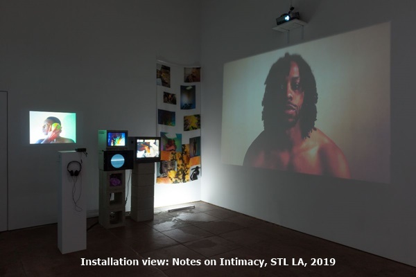 click to enlarge- double click to reduce Shoot The Lobster, Los Angeles CA USA - Installation view: Notes on Intimacy, STL LA, 2019