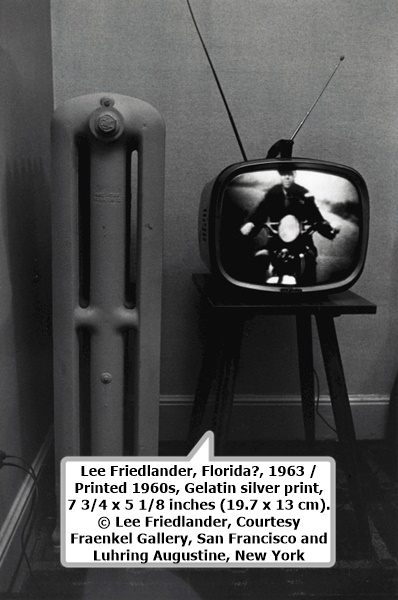 Lee Friedlander, Florida​, 1963 / Printed 1960s, Gelatin silver print, 7 3/4 x 5 1/8 inches (19.7 x 13 cm). © Lee Friedlander, Courtesy Fraenkel Gallery, San Francisco and Luhring Augustine, New York