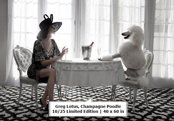 click to enlarge- double click to reduce Greg Lotus, Champagne Poodle
10/25 Limited Edition | 40 x 60 in.