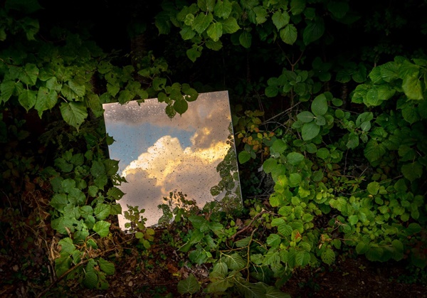Andrea Tirindelli : Oltre il visibile della natura