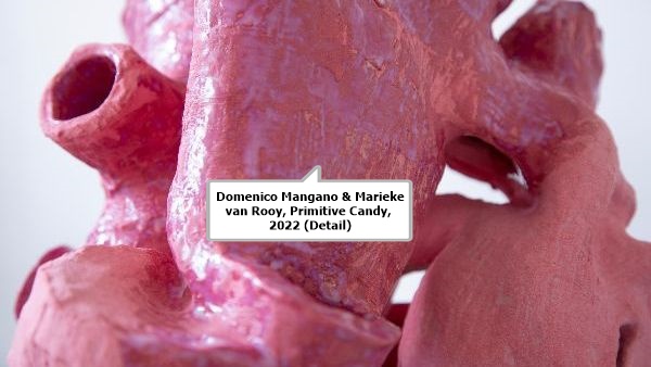 click to enlarge- double click to reduce Domenico Mangano & Marieke van Rooy, Primitive Candy, 2022 (Detail)