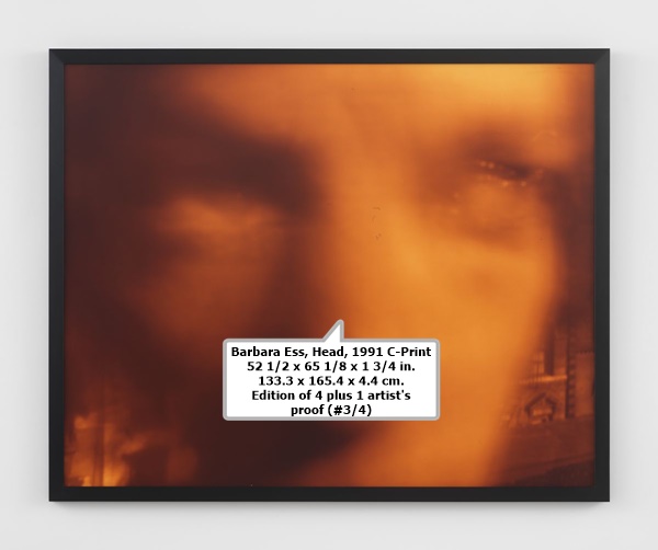 click to enlarge- double click to reduce Barbara Ess
Head, 1991
C-Print
52 1/2 x 65 1/8 x 1 3/4 in.
133.3 x 165.4 x 4.4 cm.
Edition of 4 plus 1 artist's proof (#3/4)