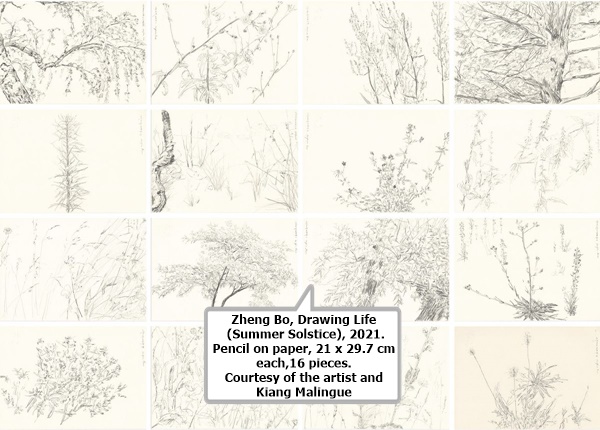 click to enlarge- double click to reduce Zheng Bo, Drawing Life (Summer Solstice), 2021. Pencil on paper, 21 x 29.7 cm each,16 pieces.
Courtesy of the artist and Kiang Malingue.