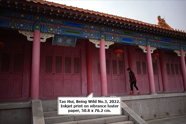 click to enlarge- double click to reduce Tao Hui, Being Wild No.3, 2022. Inkjet print on vibrance luster paper, 50.8 x 76.2 cm.