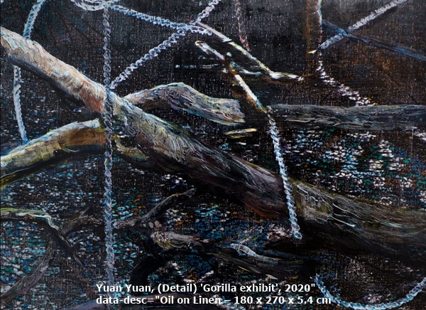 click to enlarge- double click to reduce Yuan Yuan, (Detail) 'Gorilla exhibit', 2020