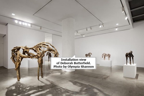 Installation view of Deborah Butterfield. Photo by Olympia Shannon.