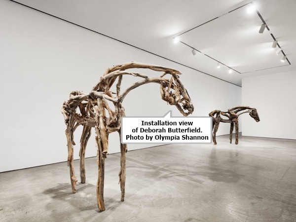 Installation view of Deborah Butterfield. Photo by Olympia Shannon.