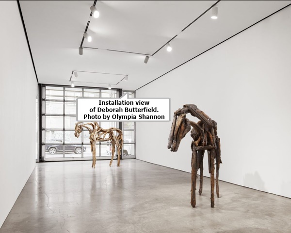 Installation view of Deborah Butterfield. Photo by Olympia Shannon.
