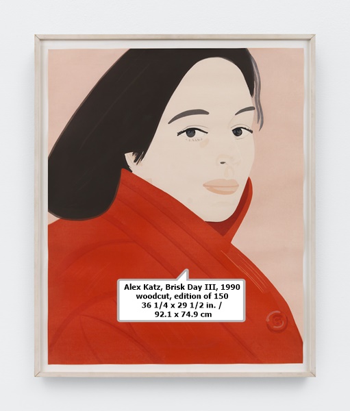 click to enlarge- double click to reduce Alex Katz, Brisk Day III, 1990
woodcut, edition of 150
36 1/4 x 29 1/2 in. / 92.1 x 74.9 cm
