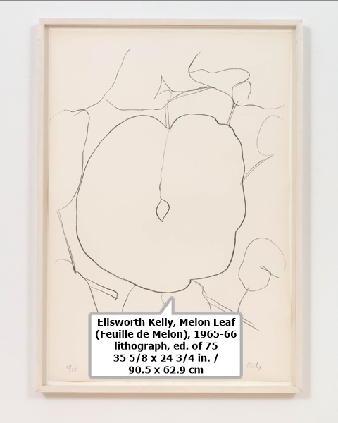 click to enlarge- double click to reduce Ellsworth Kelly, Melon Leaf (Feuille de Melon), 1965-66
lithograph, ed. of 75
35 5/8 x 24 3/4 in. / 90.5 x 62.9 cm