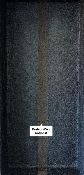 click to enlarge- double click to reduce Pedro Wirz, sadnest