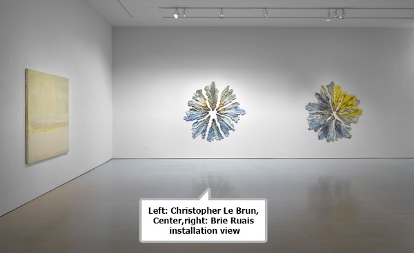 click to enlarge- double click to reduce Brie Ruais, installation view