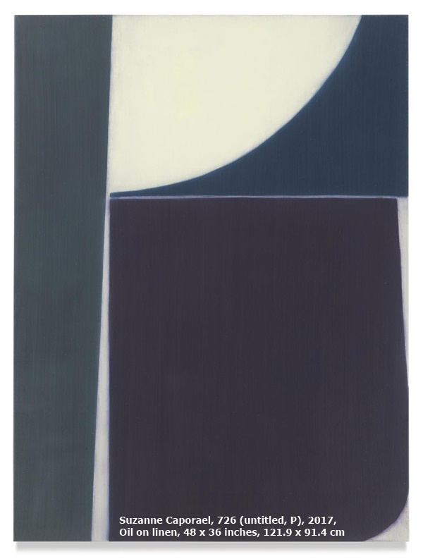 Suzanne Caporael, 726 (untitled, P), 2017, Oil on linen, 48 x 36 inches, 121.9 x 91.4 cm