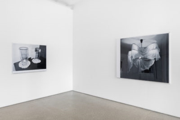 James White, Installation view
2021

Courtesy Galerie Greta Meer