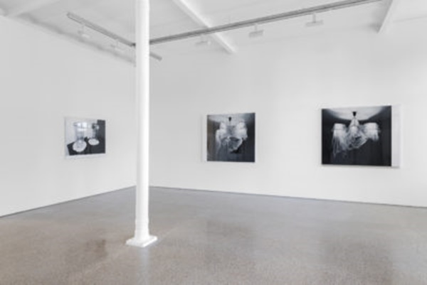 James White, Installation view
2021

Courtesy Galerie Greta Meer