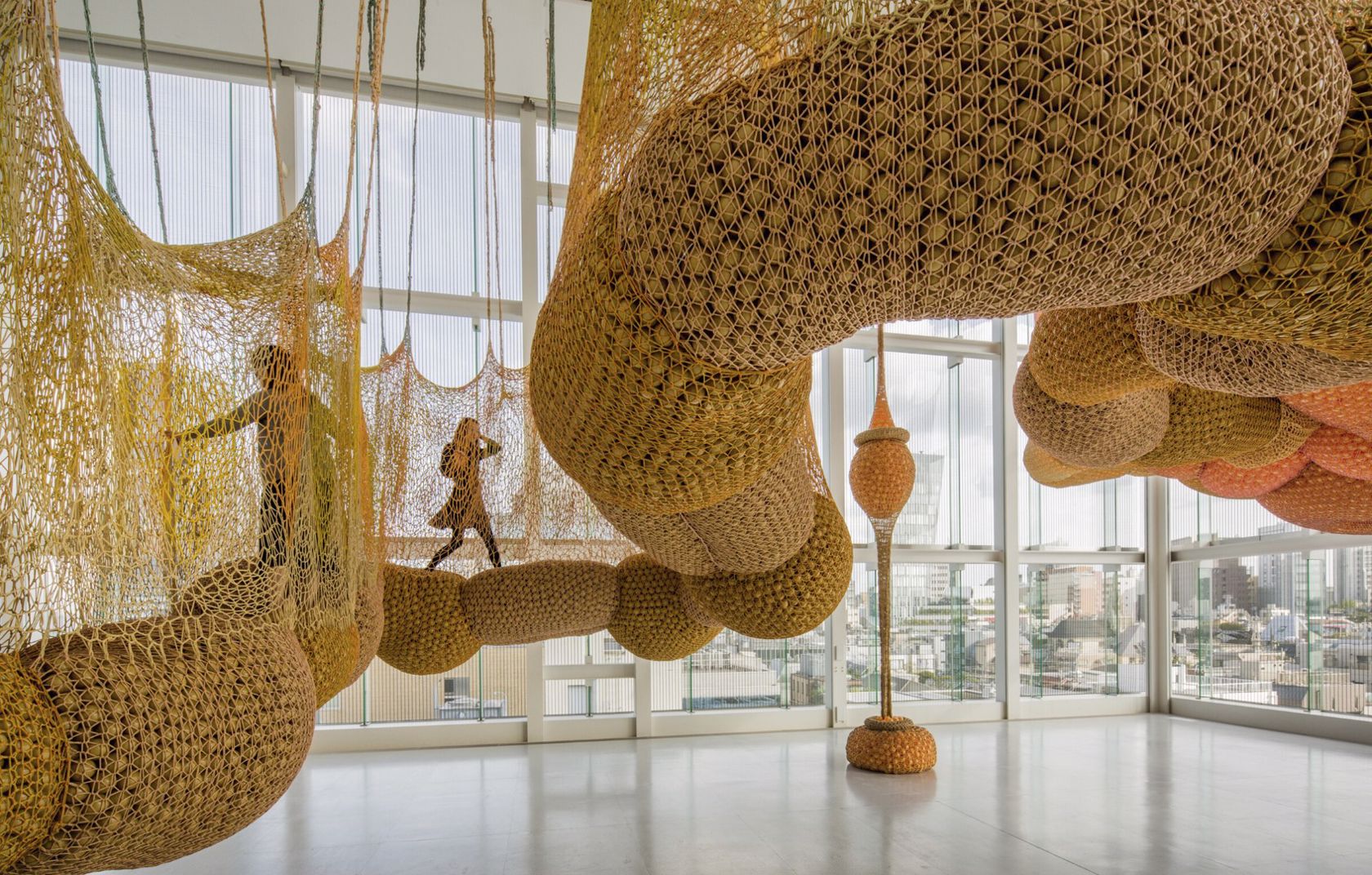 click to enlarge- double click to reduce Ernesto Neto.
