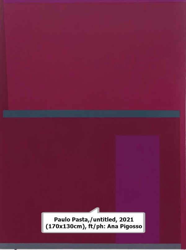 Paulo Pasta, sem título/untitled, 2021 (170x130cm), ft/ph: Ana Pigosso