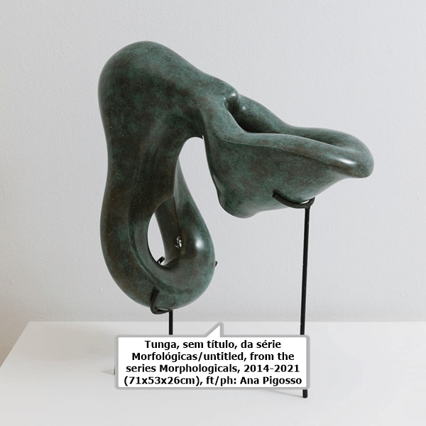 Tunga, sem título, da série Morfológicas/untitled, from the series Morphologicals, 2014-2021 (71x53x26cm), ft/ph: Ana Pigosso 