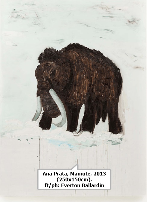 Ana Prata, Mamute, 2013 (250x150cm), ft/ph: Everton Ballardin 