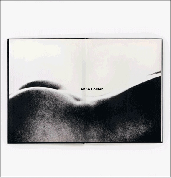 click to enlarge- double click to reduce Anne Collier